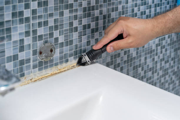 Professional Mold Remediation in Walton Hills, OH